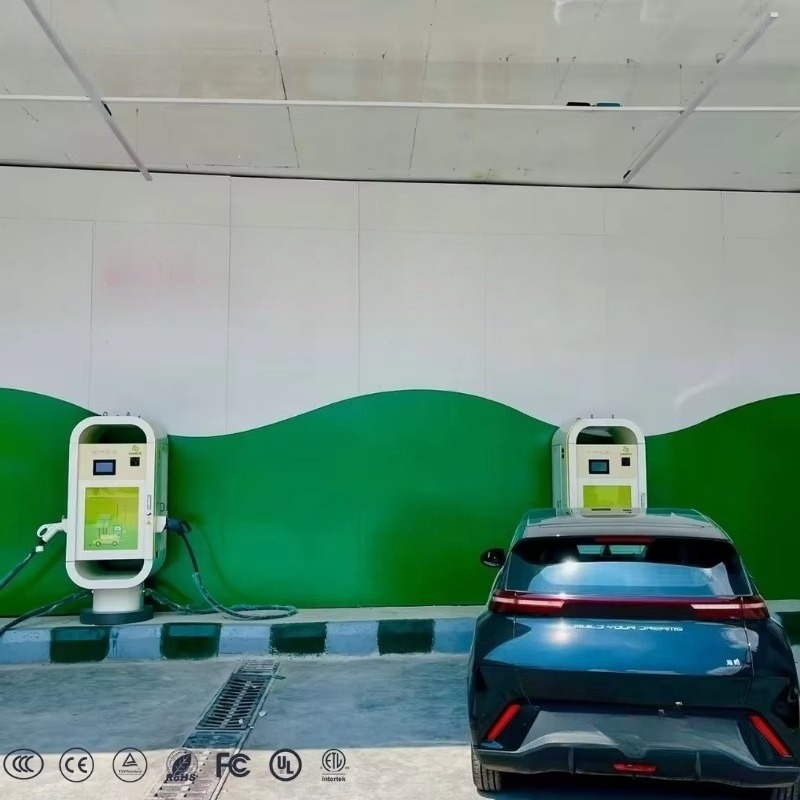 Estación de Carga Rápida para  - Ev Charging Pile reseña y precio